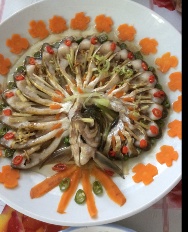 孔雀开屏鱼