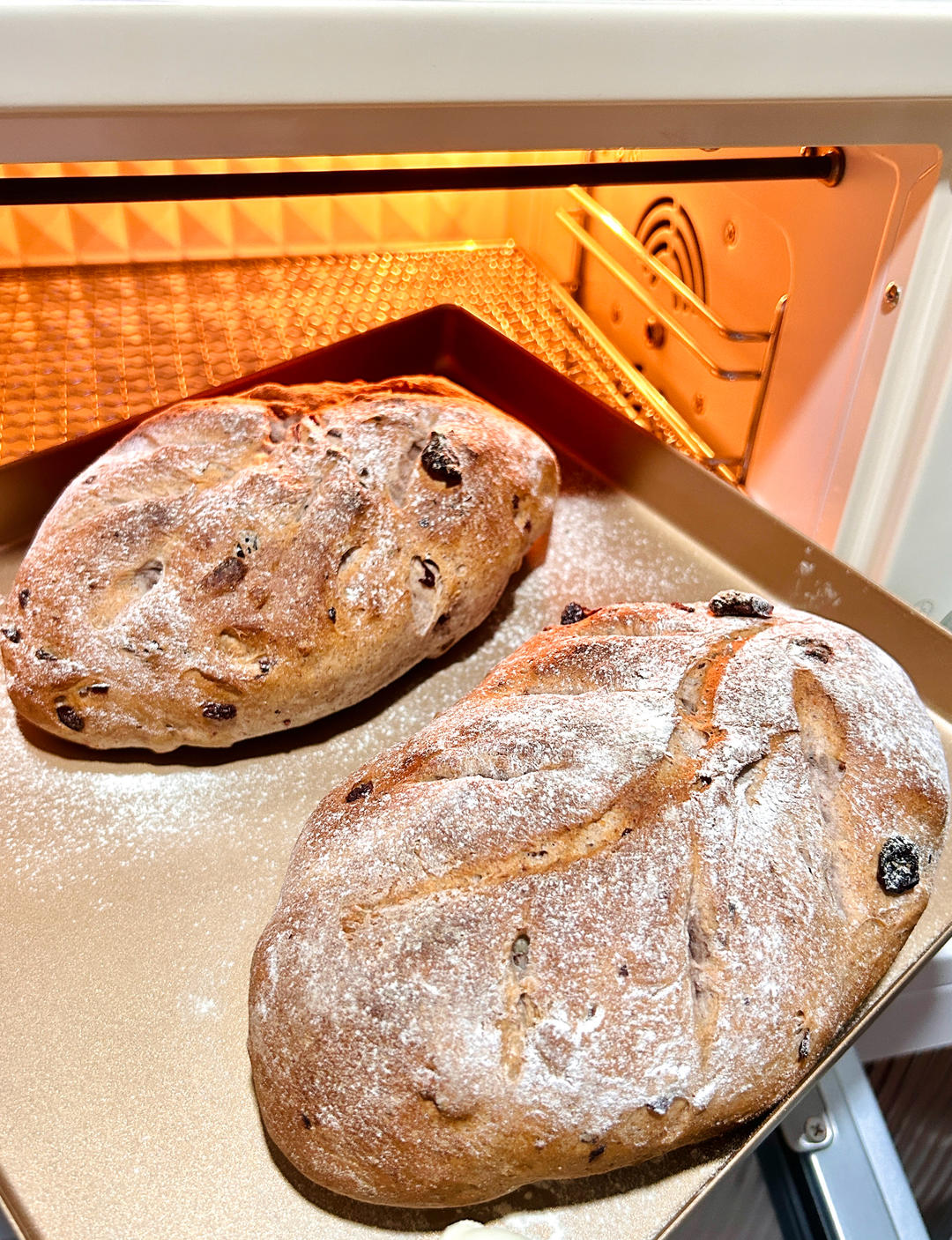 全麦蔓越莓核桃软欧包