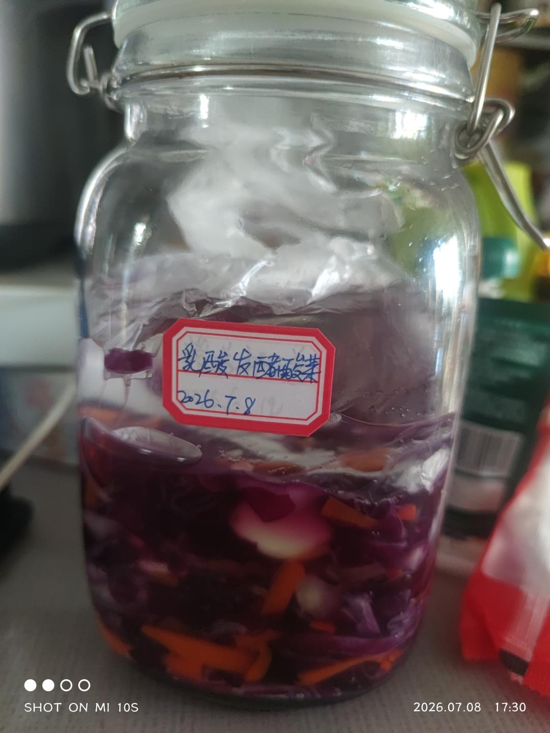 乳酸发酵酸菜丨健康·泡菜