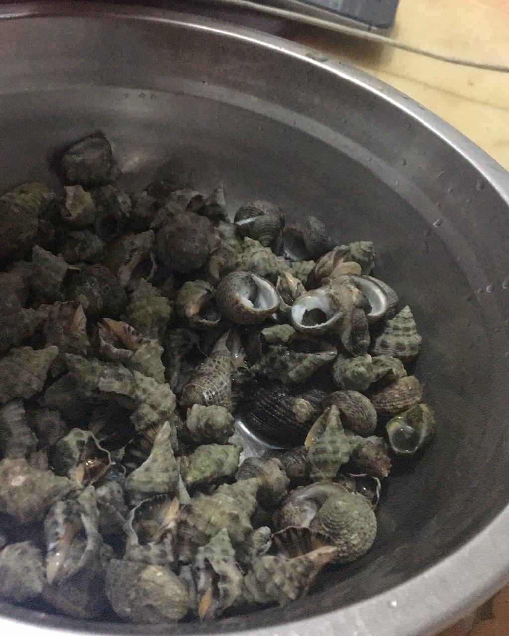 小小爱好做的白灼苦螺