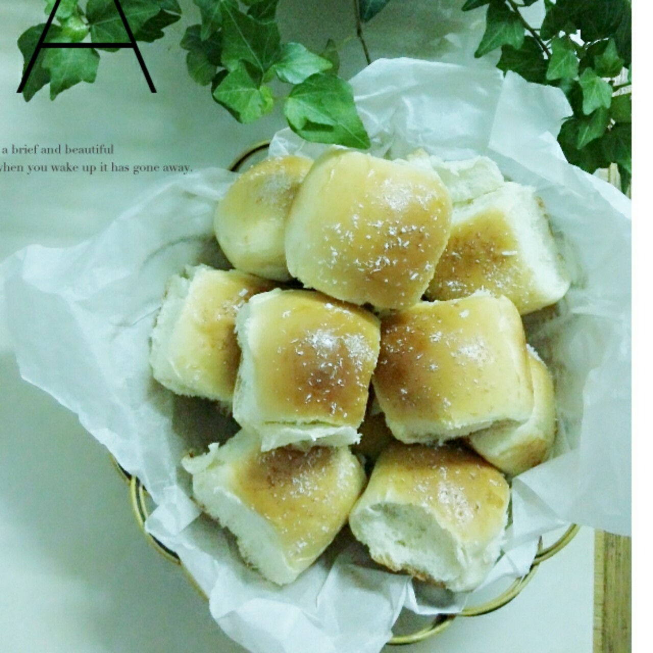 鲜奶油小餐包（一次发酵）