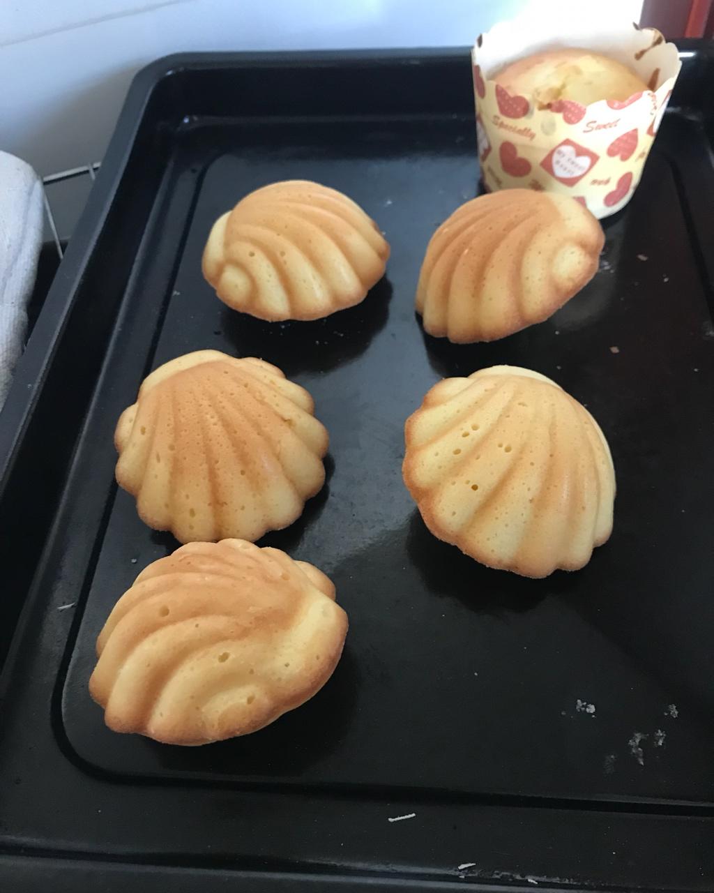 基础玛德琳