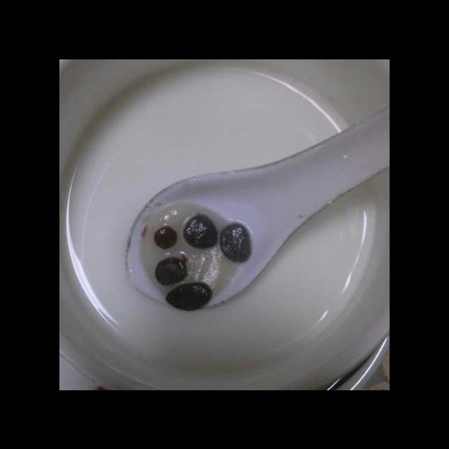 熊猫红豆汤圆