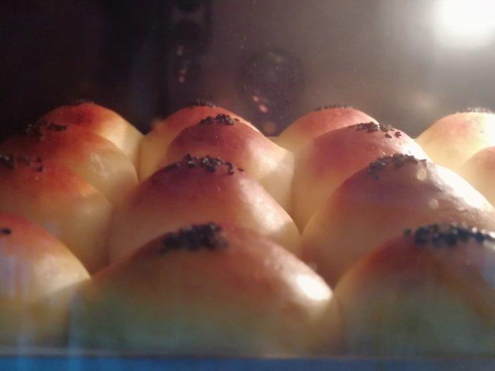 蜜豆小餐包