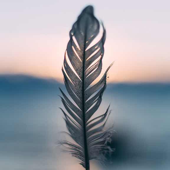 我不仅可爱还可爱你了