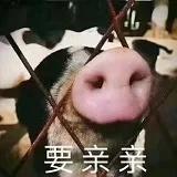 兔子有牙-