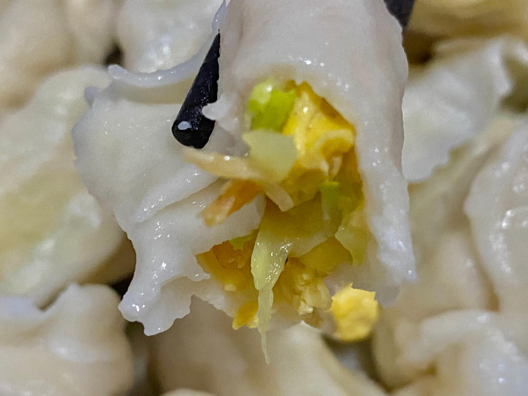西葫芦鸡蛋馅水饺