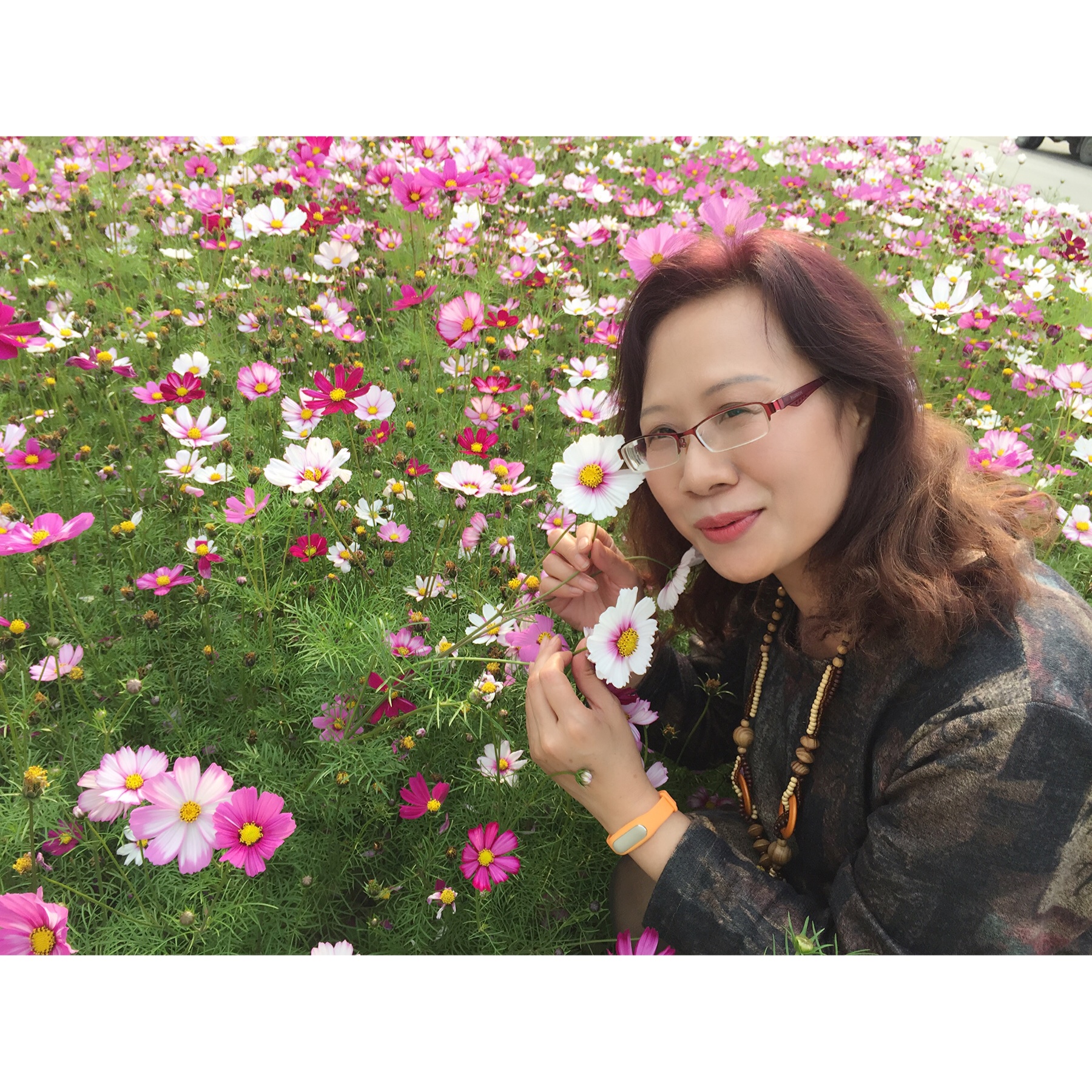麦小麦卖小米