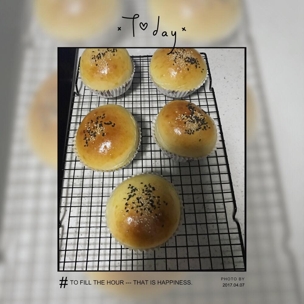 汉堡胚（中种法）