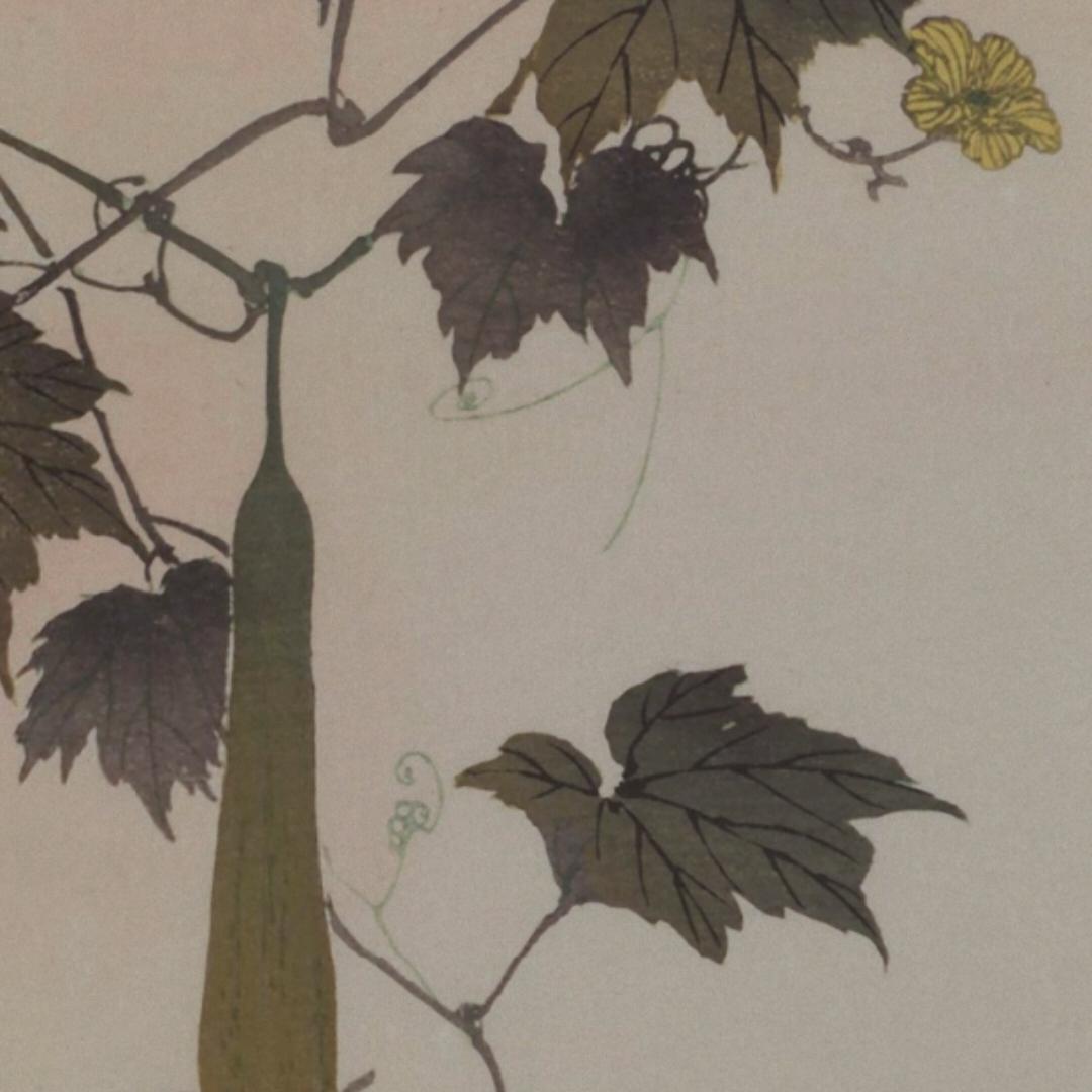 泡泡龙之父