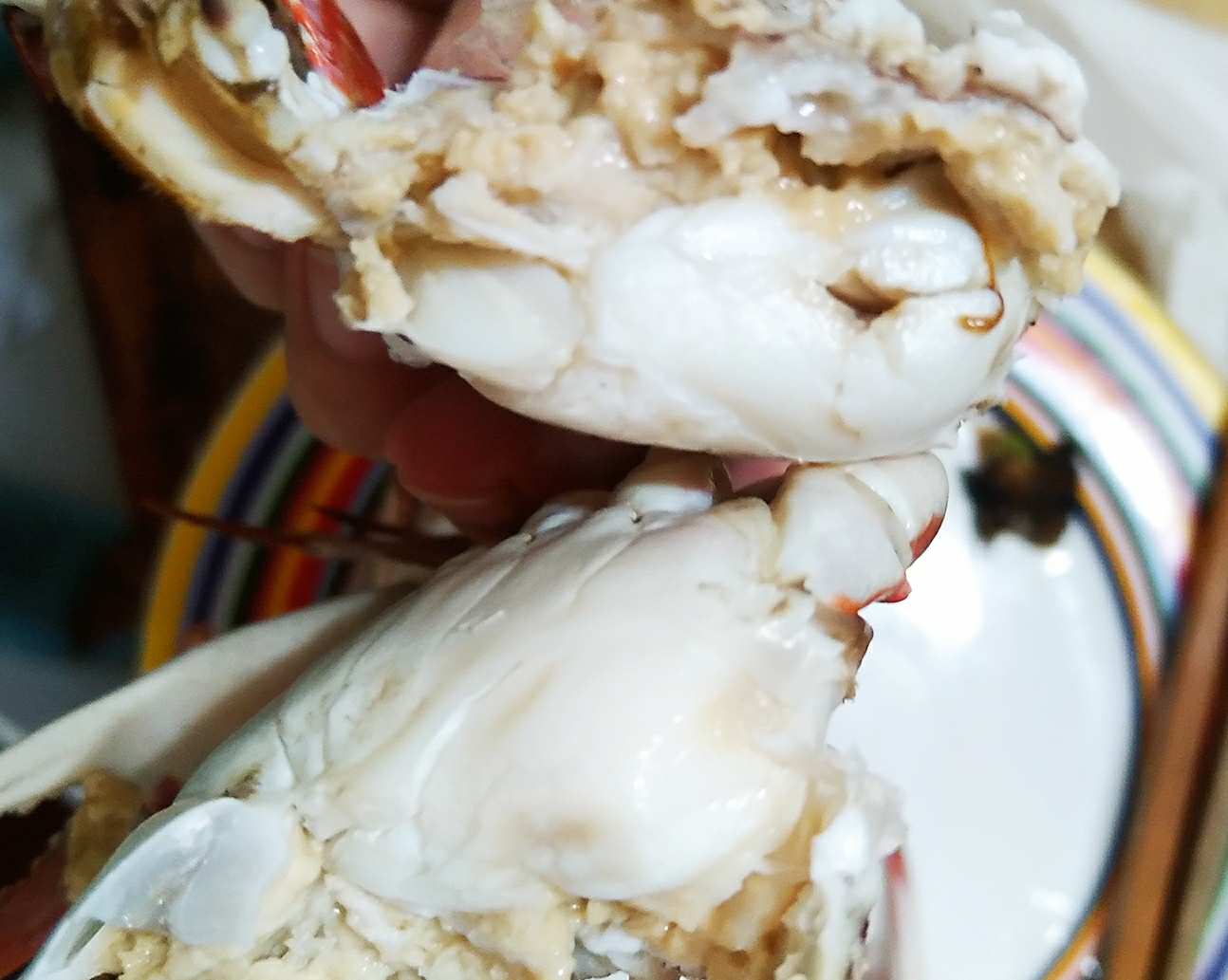 烤梭子蟹（干烧螃蟹）的做法 步骤6