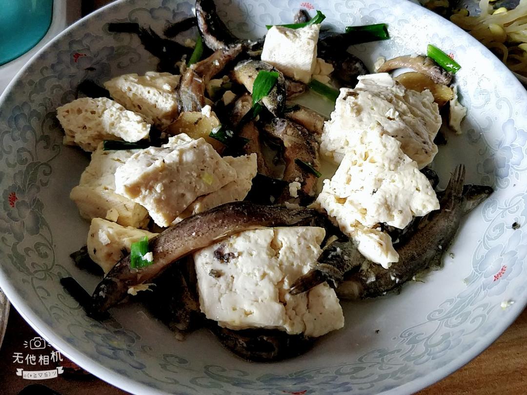 泥鳅炖豆腐（小贴士附杀泥鳅方法）