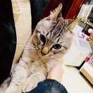 kk吃鸡腿