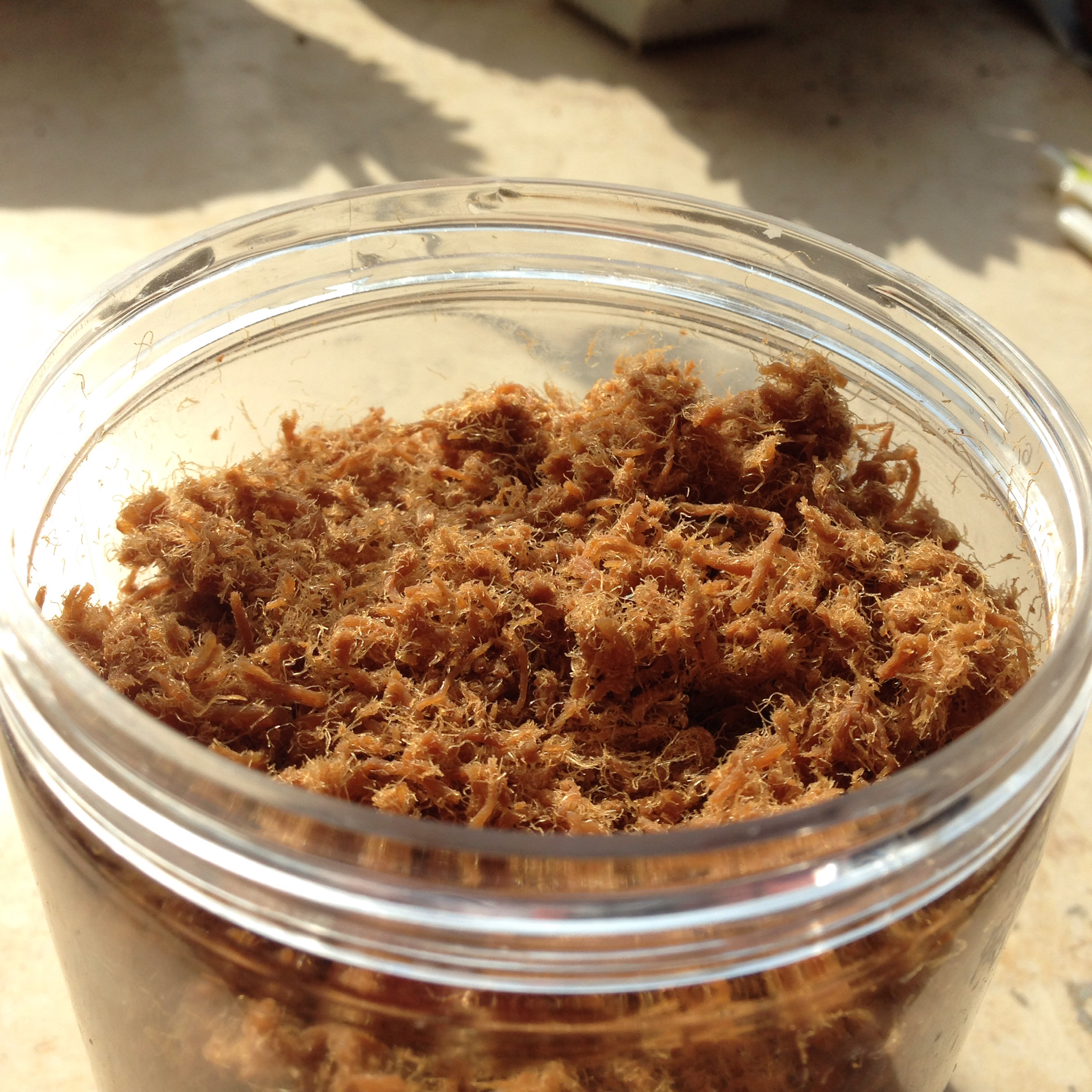 面包机自制肉松