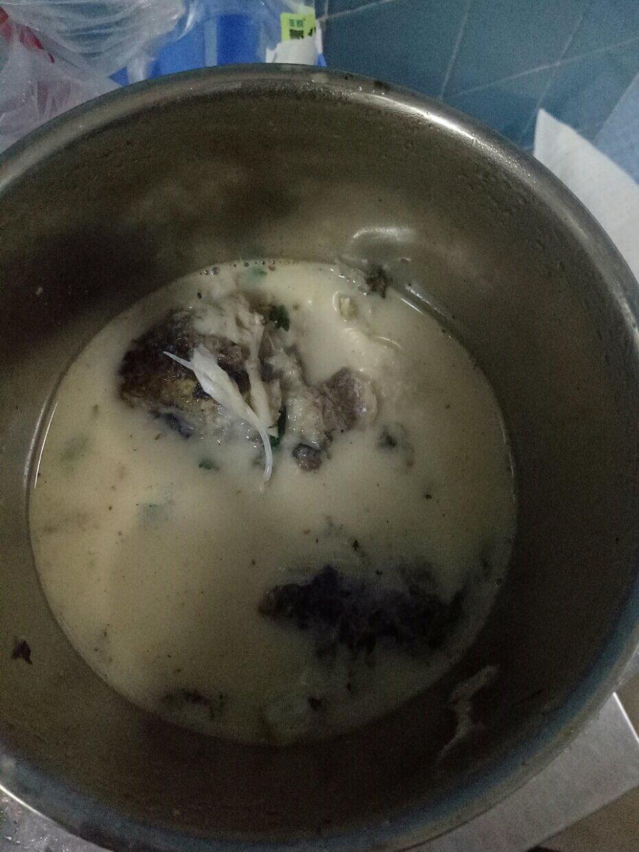 最好用的鲫鱼汤方子