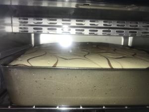 10L小烤箱烤一切---6寸圆9寸方盘拉花戚风蛋糕的做法 步骤26