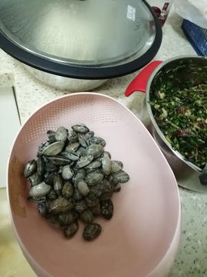 韭菜肉丁蛤蜊蒸饺的做法 步骤5