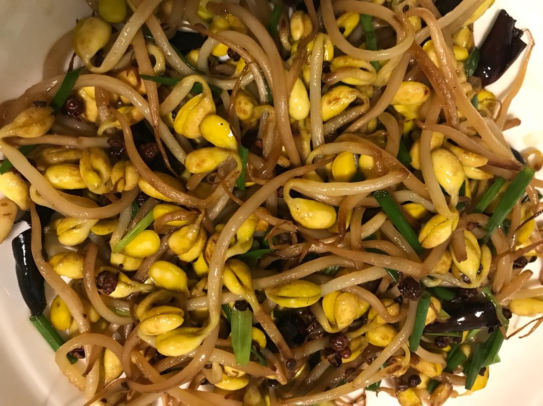 干煸黄豆芽