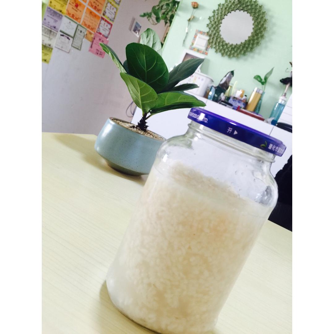 酒酿 (酒酿系列一）