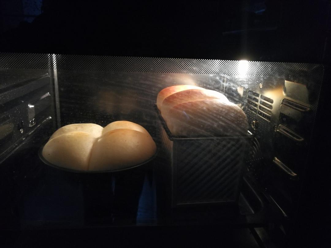 北海道吐司--100%中种