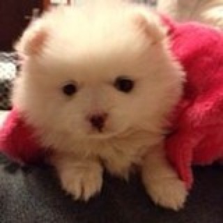 你不知道我知道你知道的的