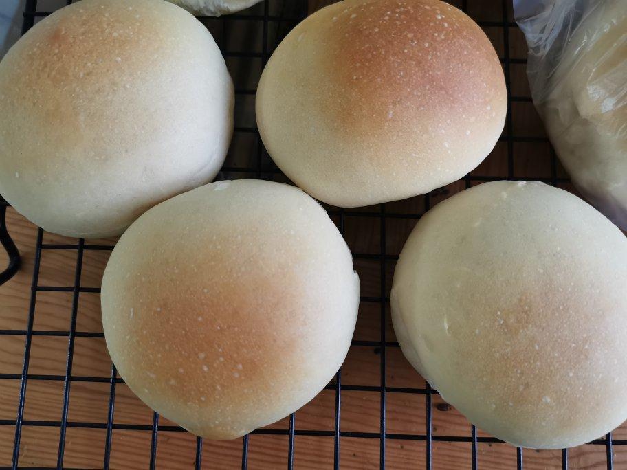 香芋吐司～中种