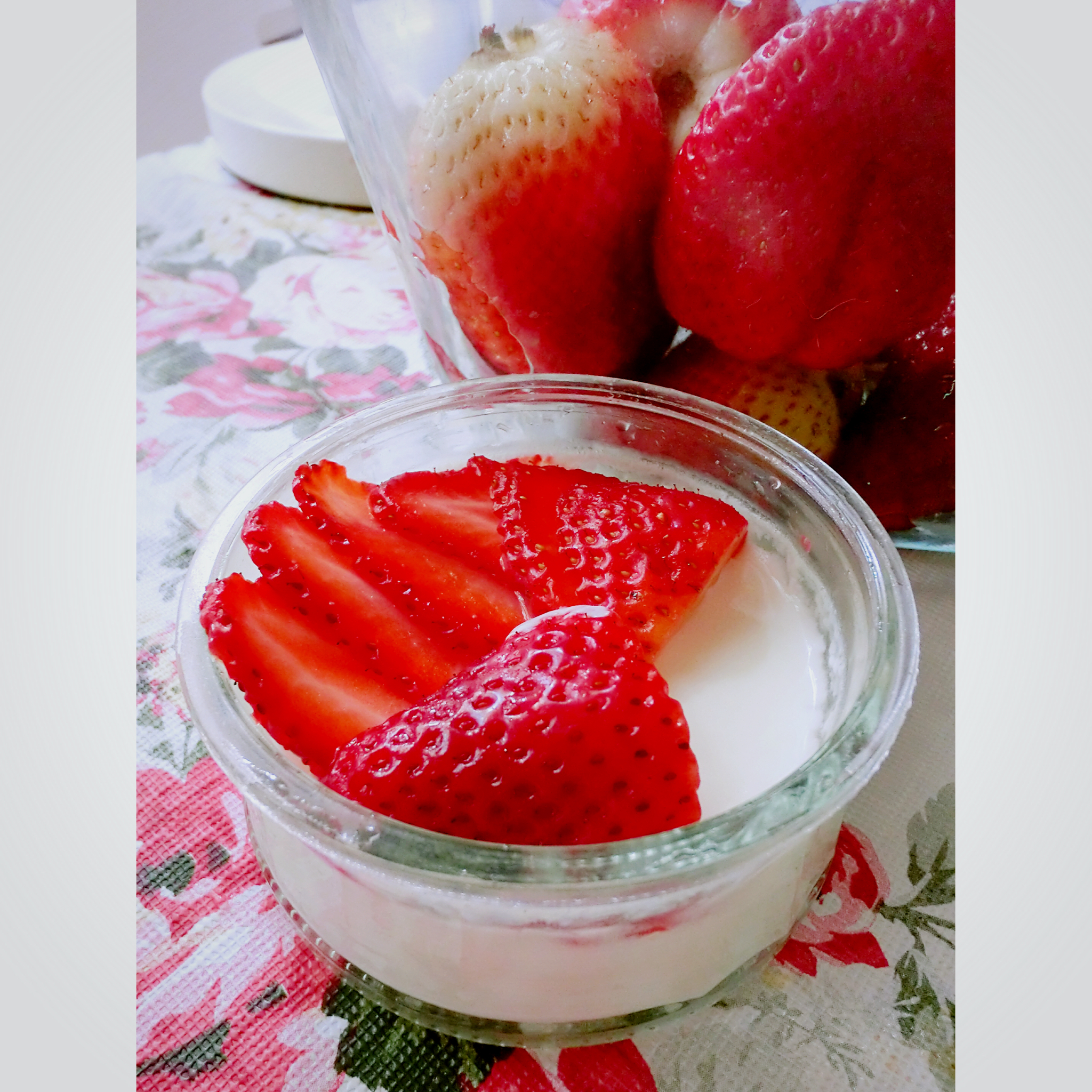 烤箱自制酸奶