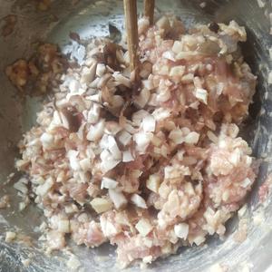 鲜虾冬笋香菇猪肉饺子的做法 步骤4