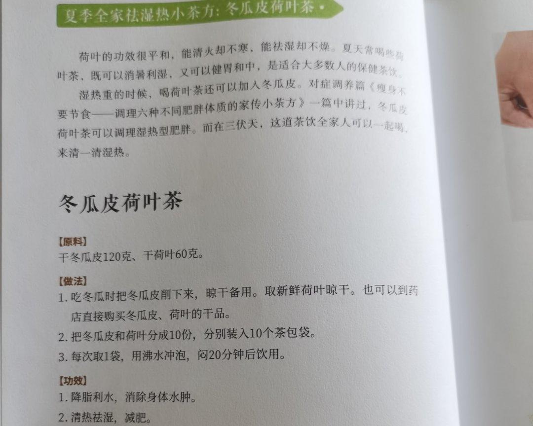 冬瓜皮荷叶茶（夏季祛湿）