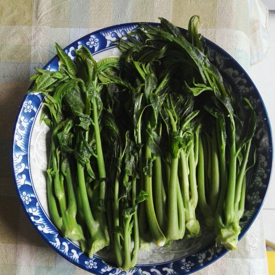 腌香椿芽（婆婆的传承）