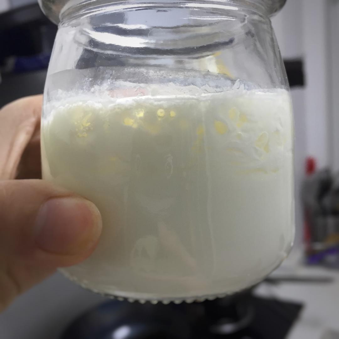 开菲尔酸奶喂养详攻略（milk kefir）丨发酵·奶类