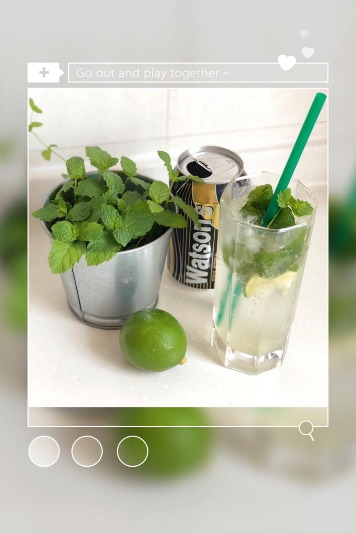 经典Mojito & 蓝莓Mojito 古巴调酒（视频菜谱）