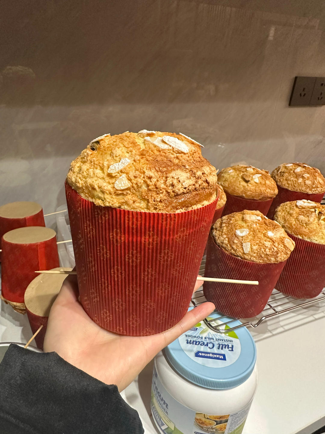 圣诞面包--潘娜托尼Panettone