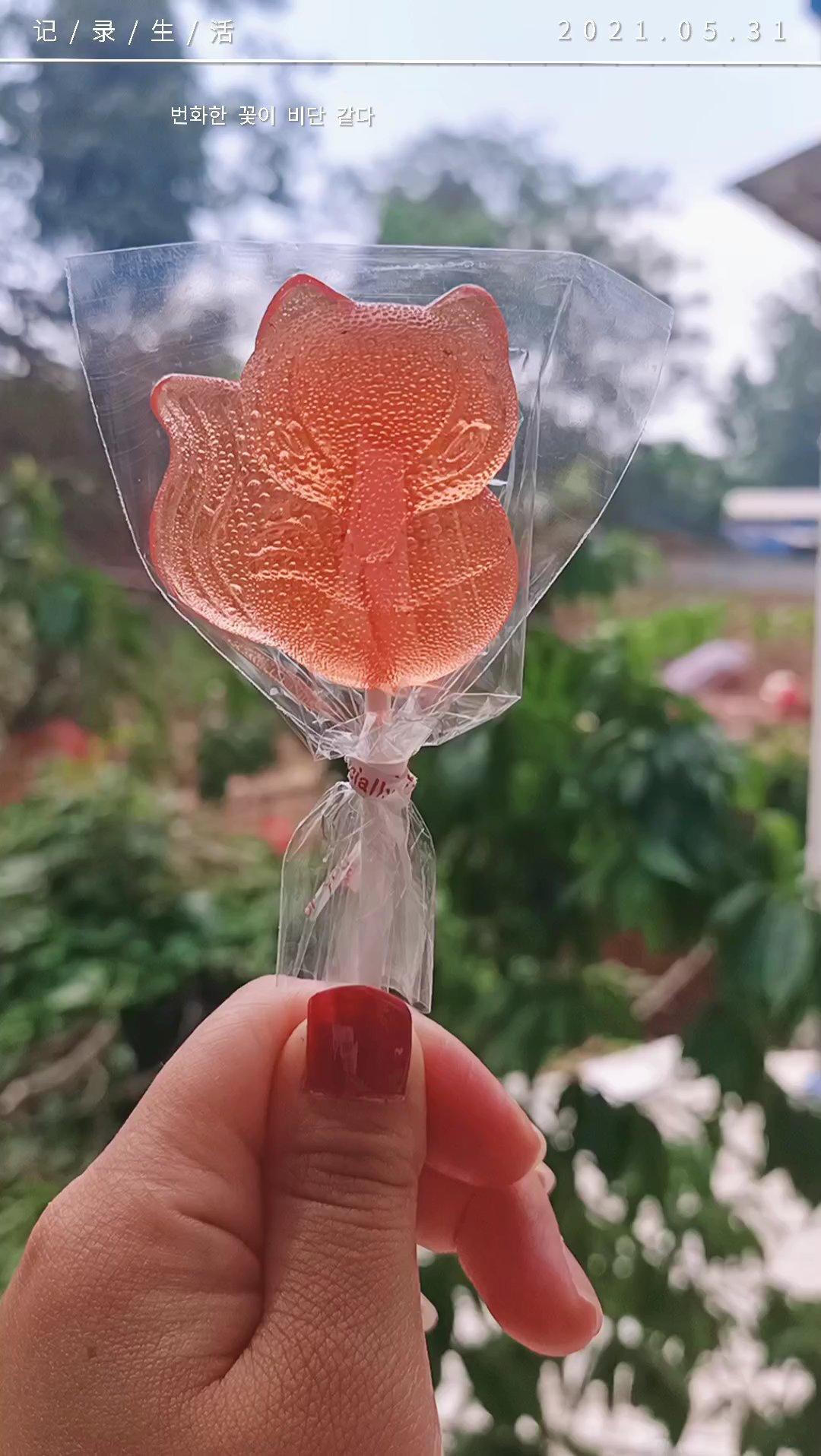 三生三世枕上书同款🦊棒棒糖🍭