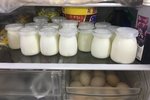 菌丝生活酸奶发酵剂