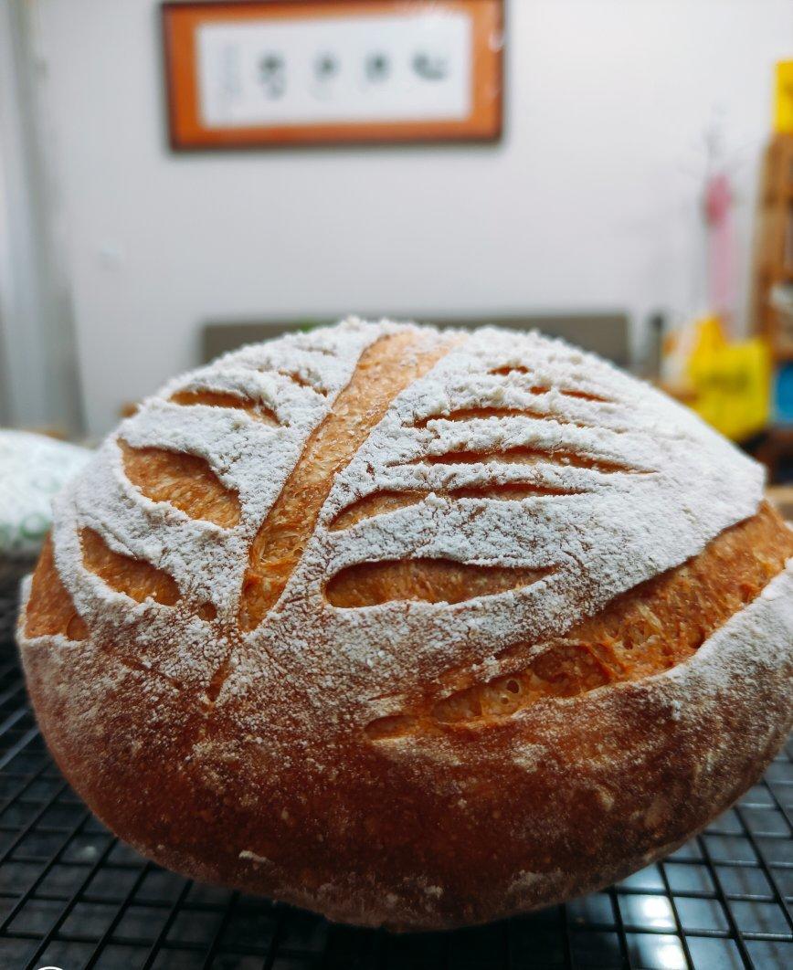 收藏的割包图案，ins不定时欧包搬运