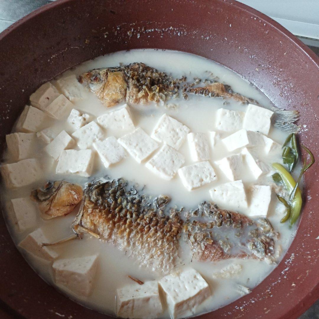 奶白鲫鱼豆腐汤|一条鱼最后的温柔