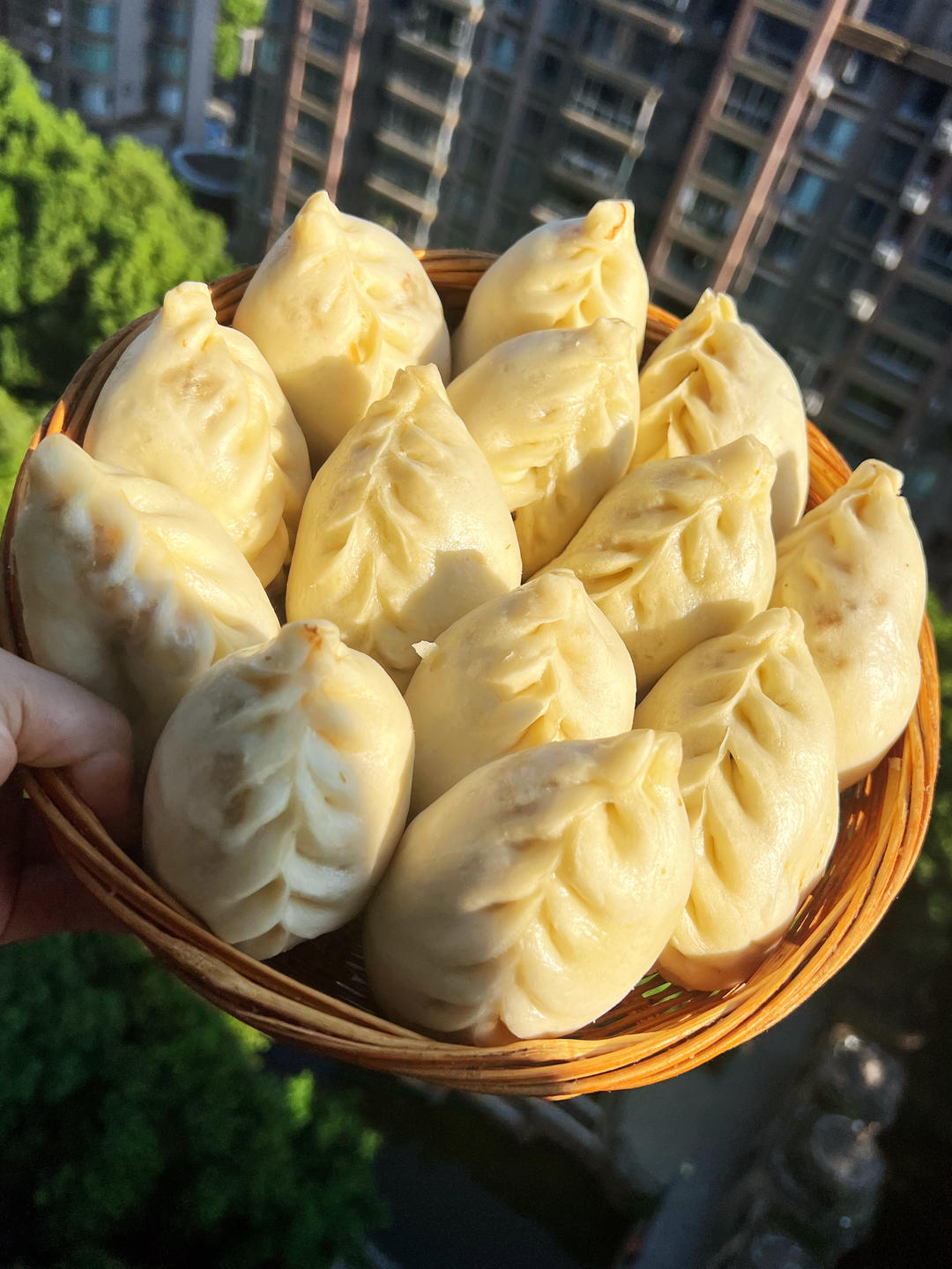 三荤七素菜包子