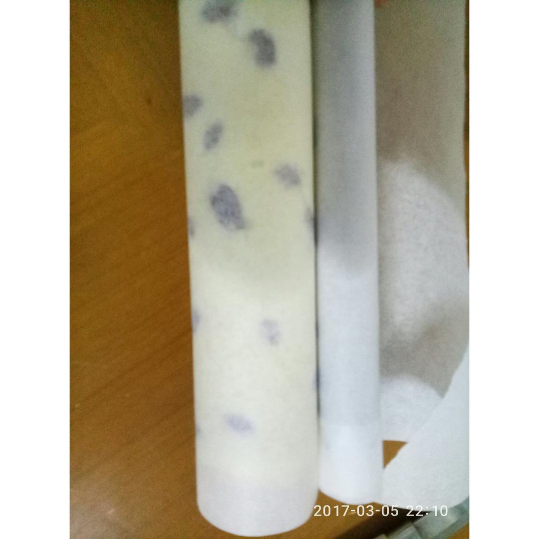 葡萄干蛋糕卷