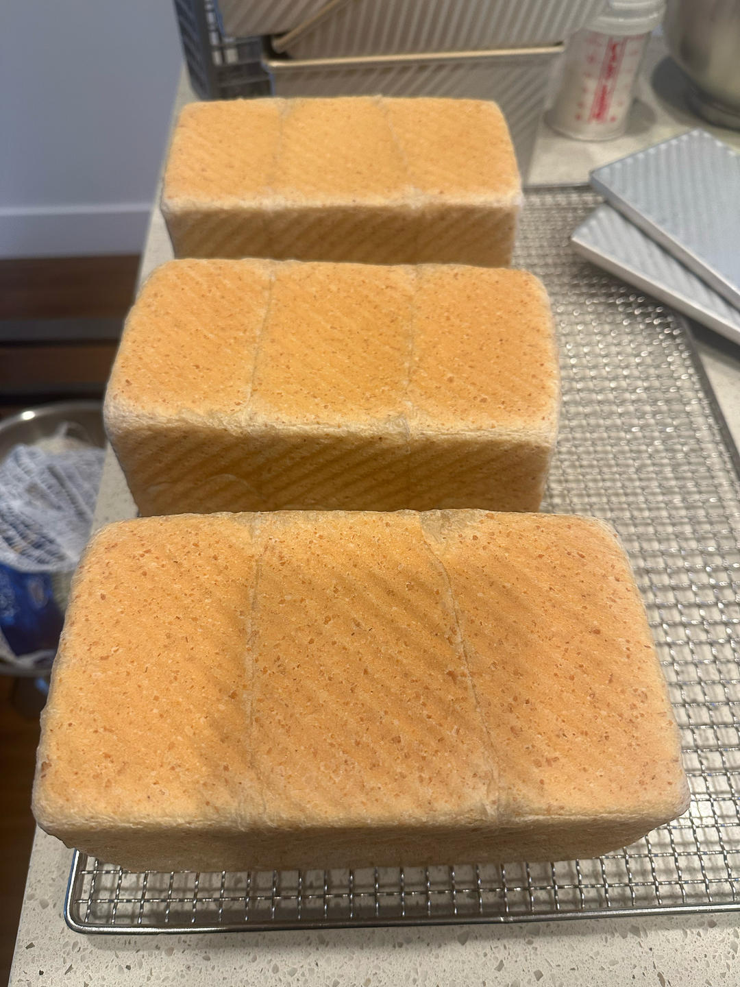 波兰种全麦吐司