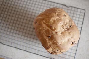 朴素法式乡村洋葱面包-松下/panasonic面包机版的做法 步骤12