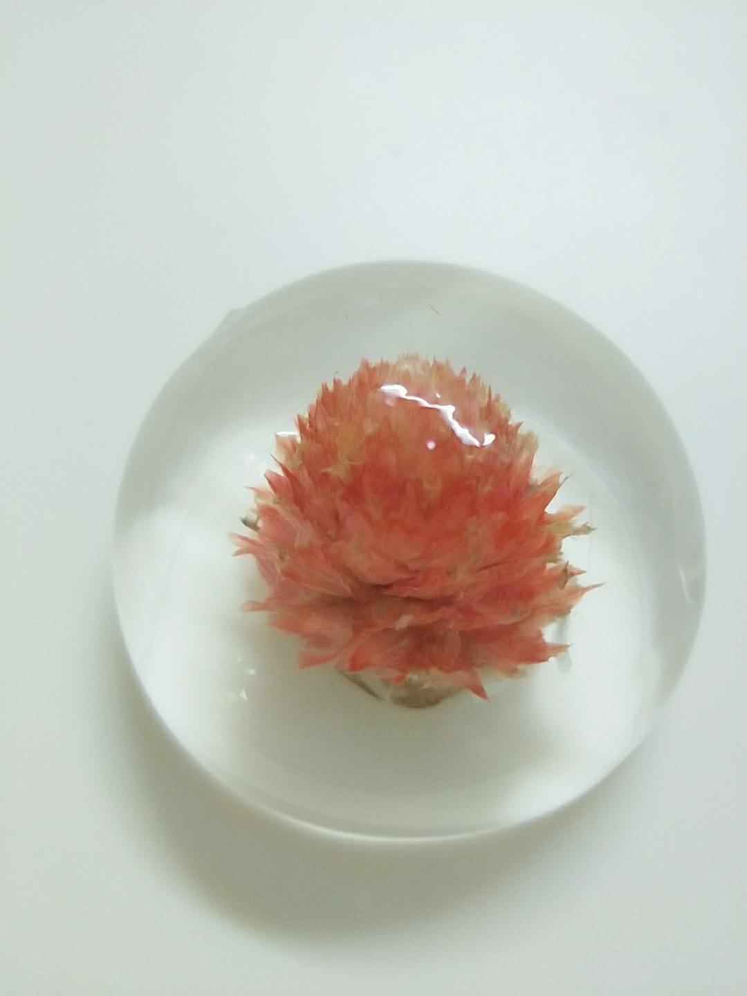 樱花水信玄饼