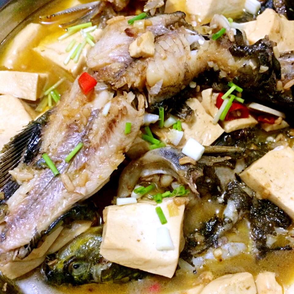 黄刺鱼烧豆腐