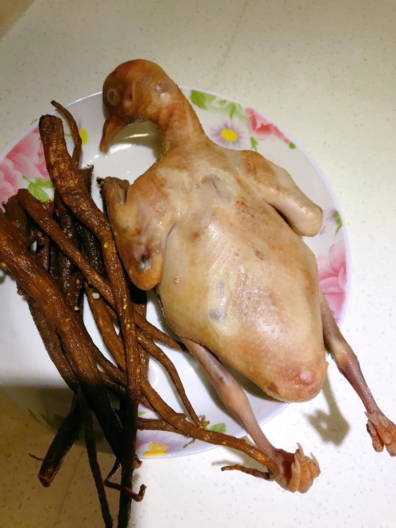 药膳鸽子汤