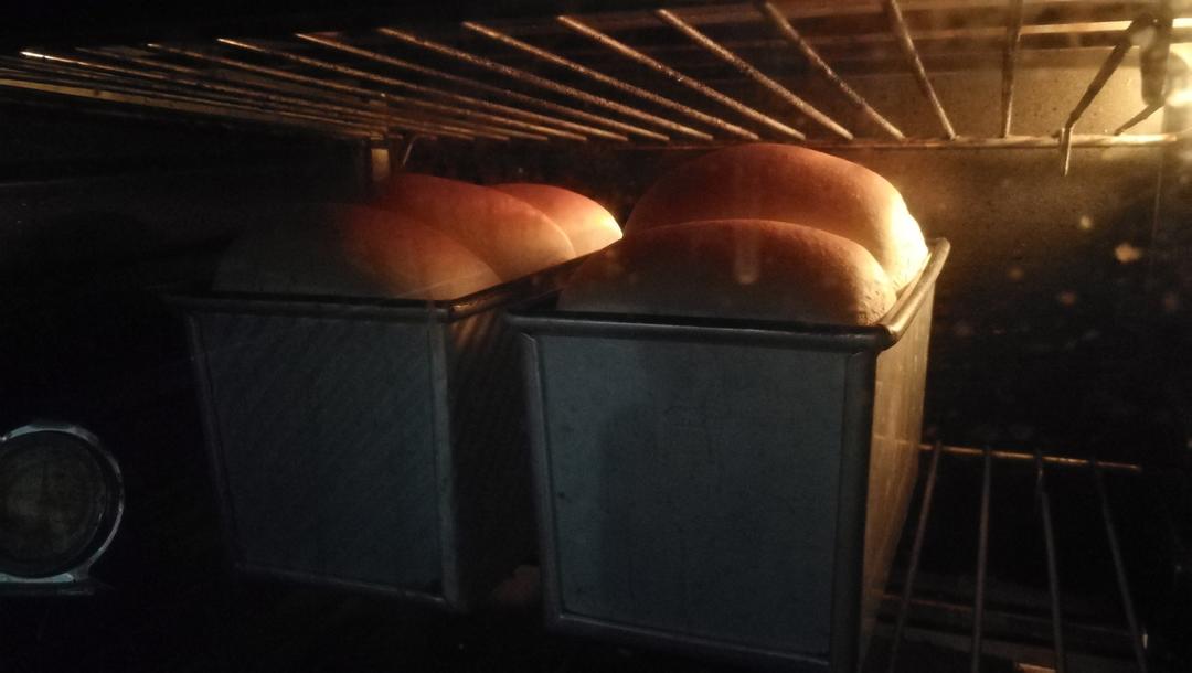 鲜奶吐司（老面法）