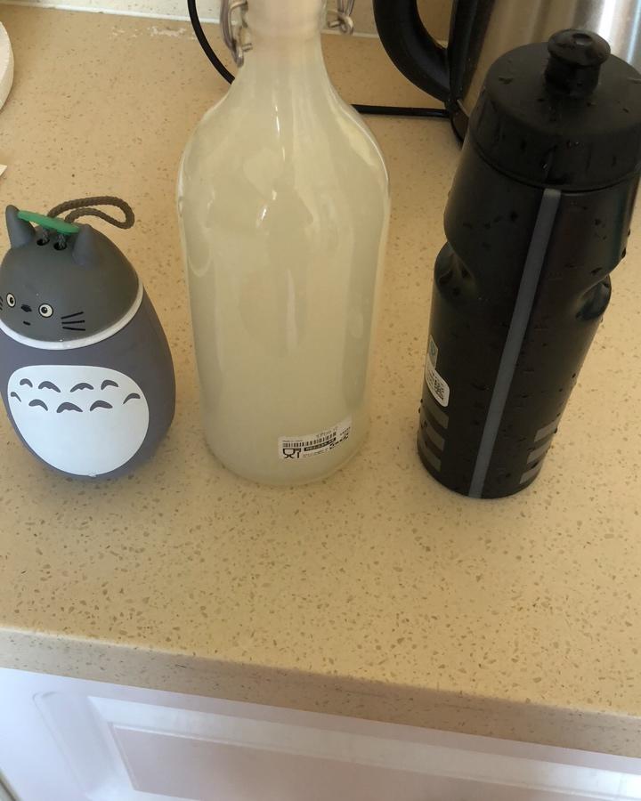 《小森林》酸米酒的改良，淡米酒（清甜版）