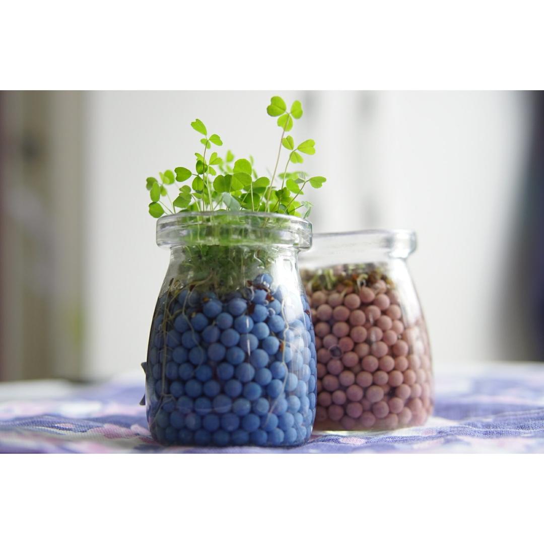 【曼食慢语】 脆皮北京烤鸭