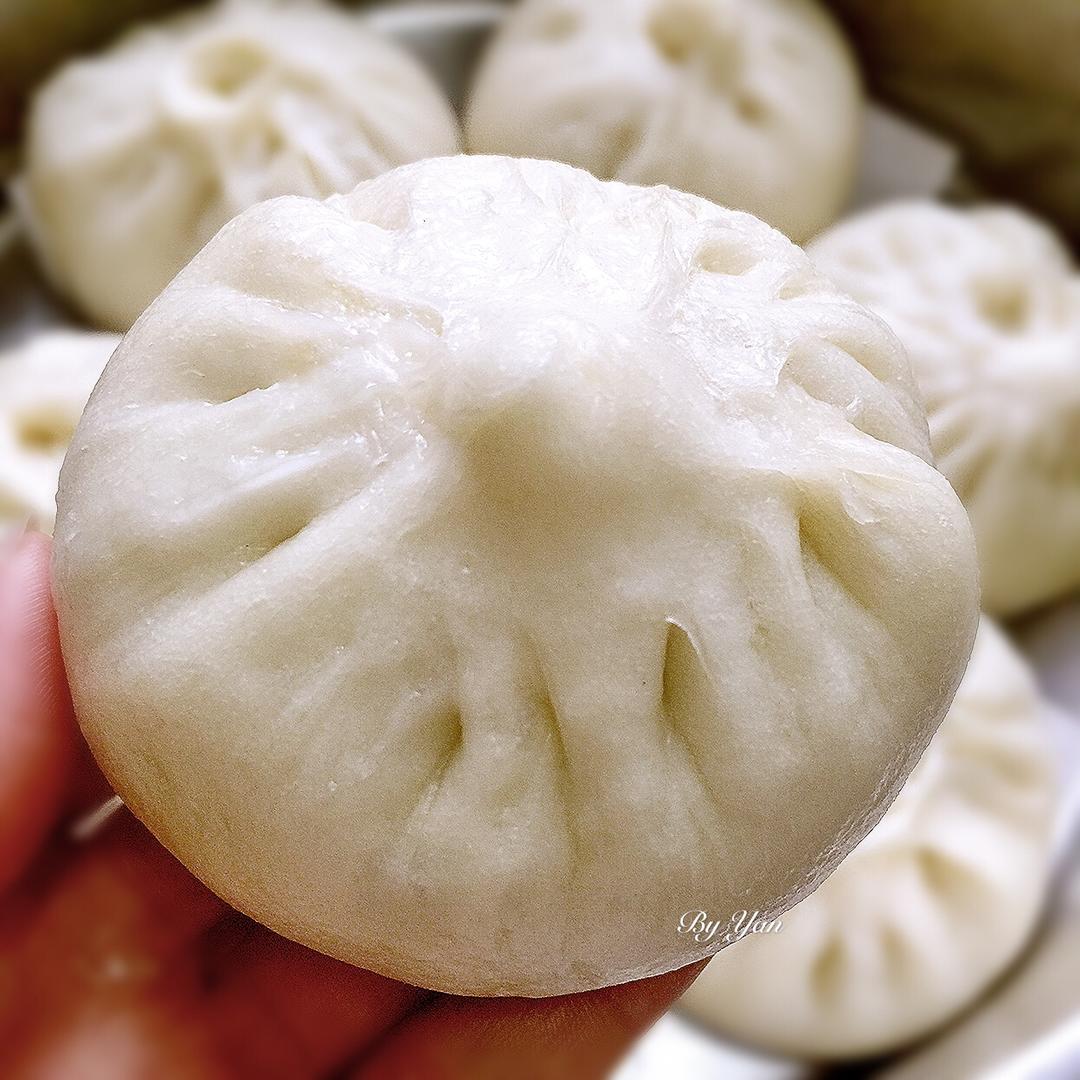 指南露 I 一份发酵面团的错题集