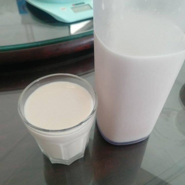 自制燕麦奶（淀粉酶版本）无需烤箱超顺滑