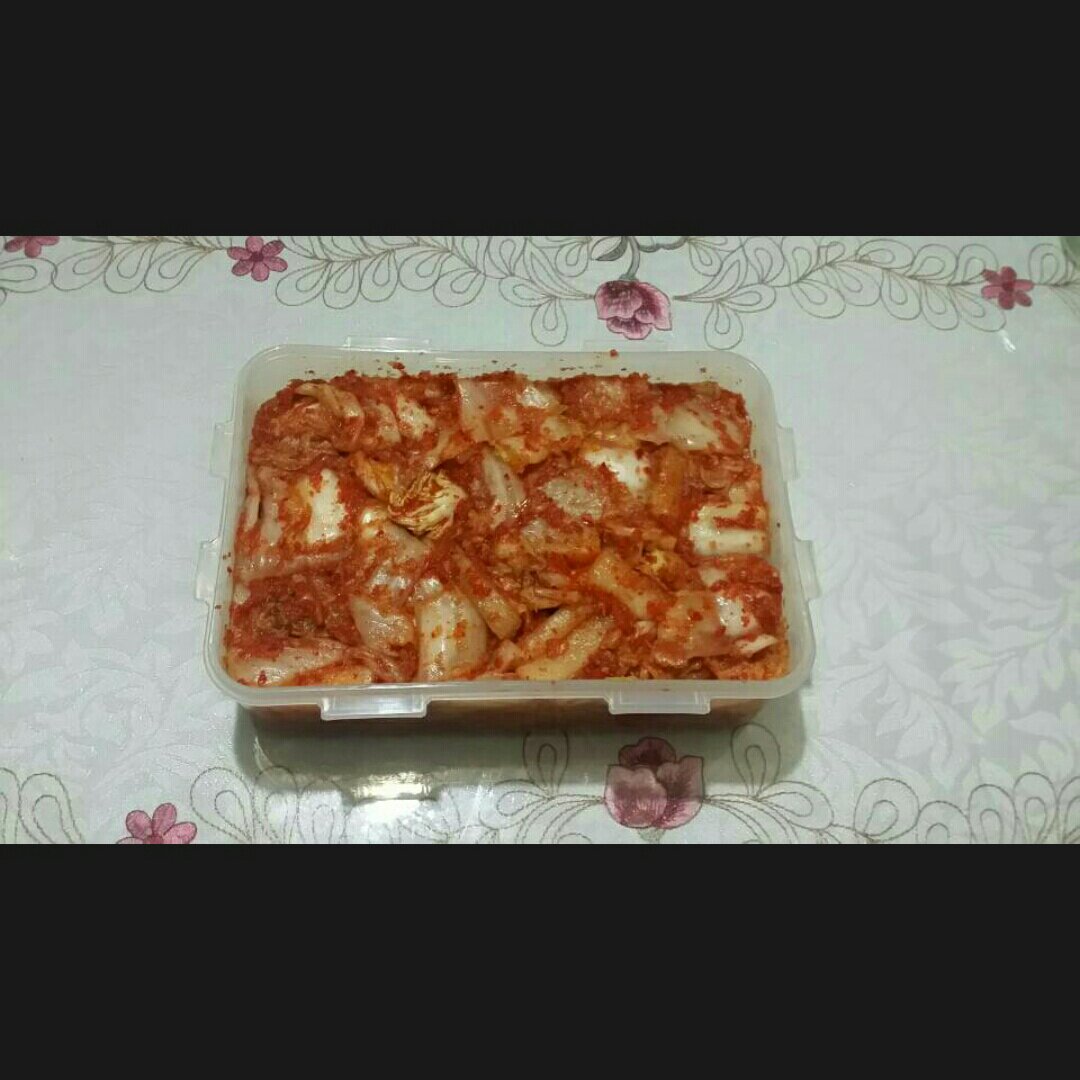韩国辣白菜